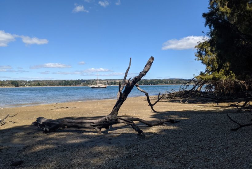 Traveling the Tamar River