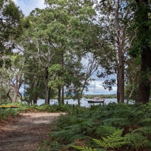 Tipples Passage and the Gold Coast