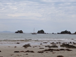 IMG_20191103_110639
