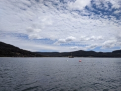 IMG_20191216_123615-2